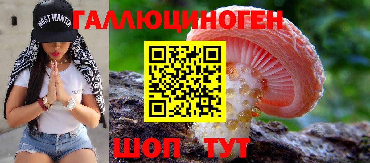 Новосибирск  Псилоцибиновые грибы Cubensis  Вход с VPN 